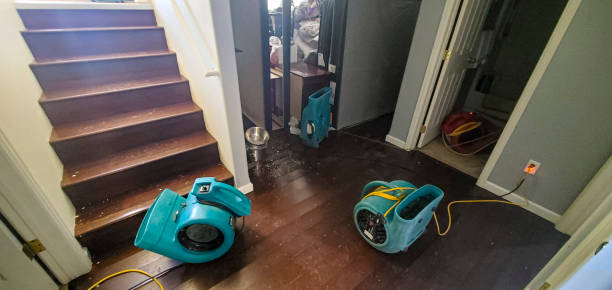 Best Mold removal after water damage  in Stanleytown, VA