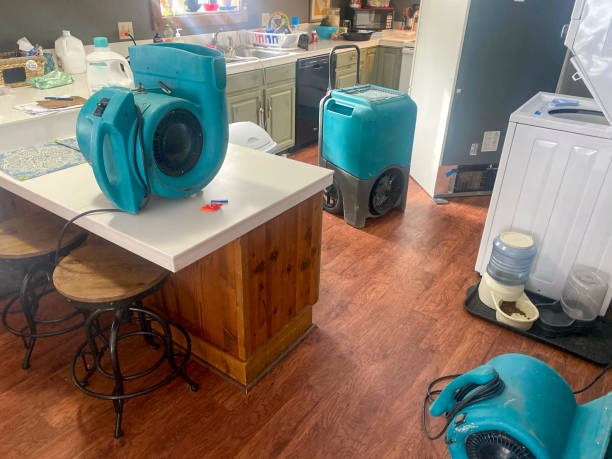 Best Professional water damage repair  in Stanleytown, VA