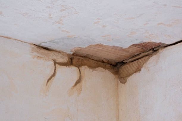 Best Flood damage cleanup  in Stanleytown, VA