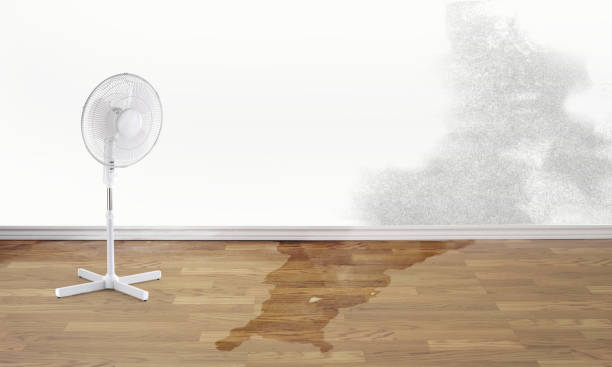 Best Water damage restoration specialists  in Stanleytown, VA