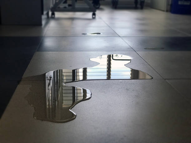 Best 24-hour water damage restoration  in Stanleytown, VA