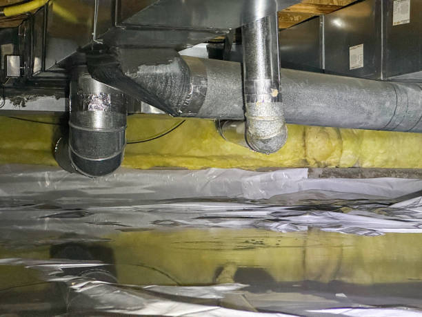 Best Flood restoration services  in Stanleytown, VA