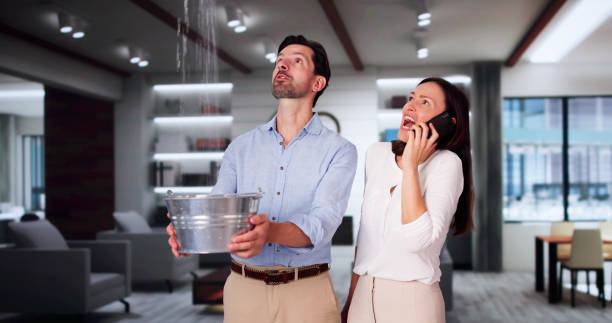 Best Emergency water extraction  in Stanleytown, VA
